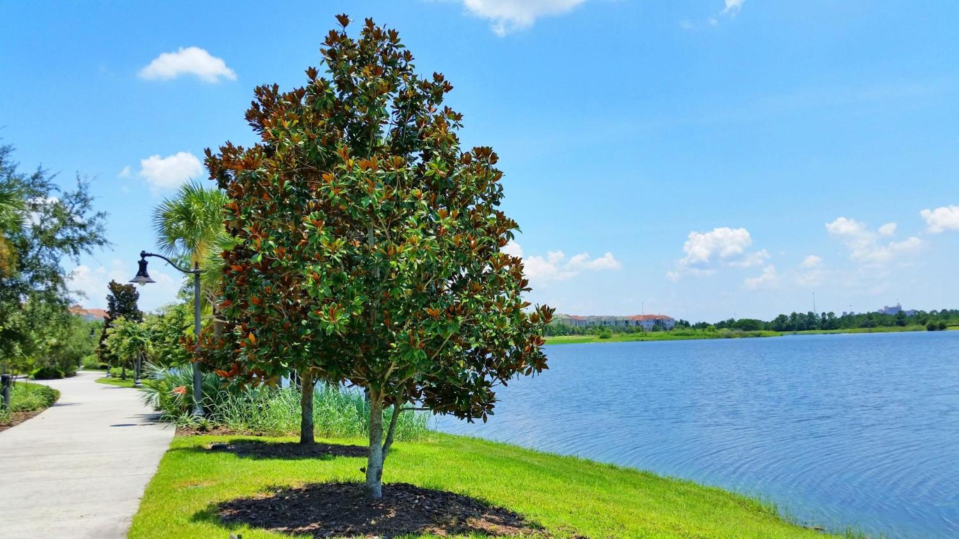 Resort Townhome: Perfect Orlando Vacation Spot ภายนอก รูปภาพ